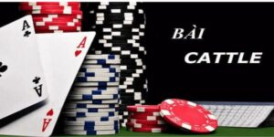 Bài catte Bongvip - Mẹo cá cược game đỉnh cao cho anh em